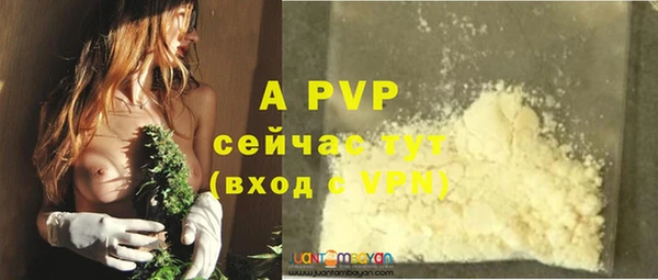 apvp Елабуга