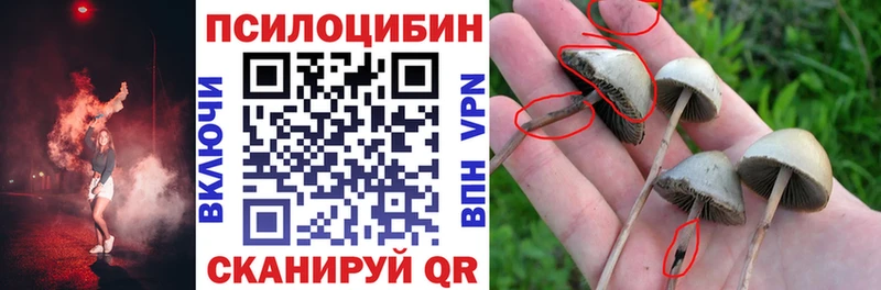 hydra как зайти  как найти закладки  Кировград  Псилоцибиновые грибы GOLDEN TEACHER 